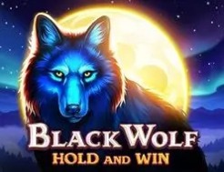 Mostbet Casino-da gecənin yırtıcısı ✦ Black Wolf slot oyunu